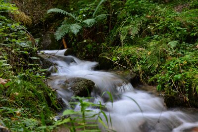 20170921-175514-DSC_0177