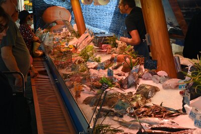 20200625-113141-DSC_0362