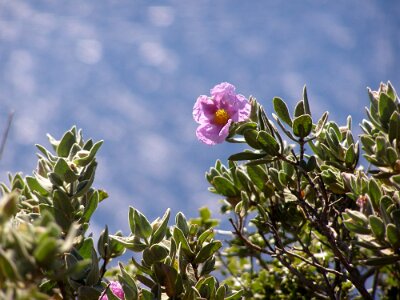 20060511-162137-P5110069