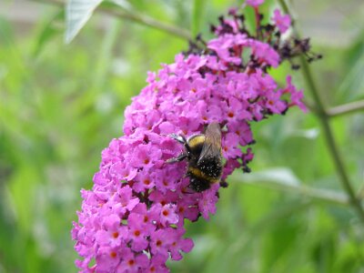 20060723-155611-P7230066