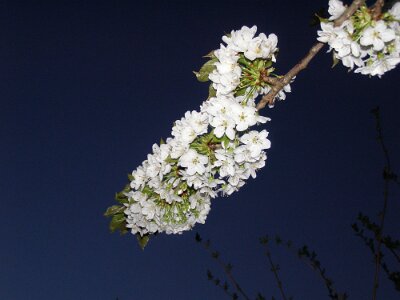 20070413-204831-P4131161