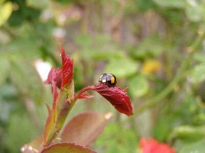 20070527-112623-P5270024