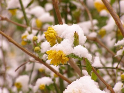 20080324-114504-P3243102