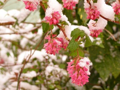 20080324-114556-P3243105