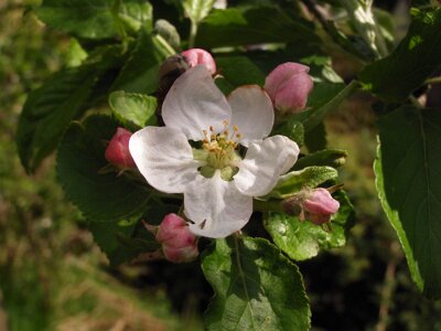 20080501-145429-P5010352