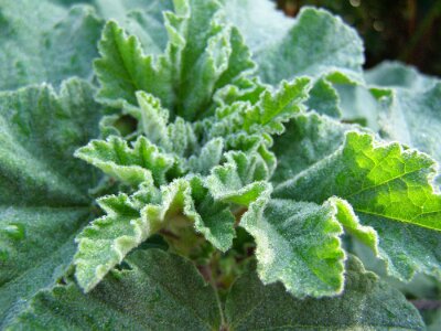 20091108-114506-PB082252