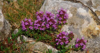 20100609-112415-D21_2211