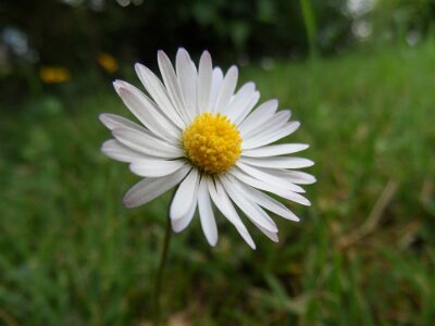 20110508-192510-SAM_1093