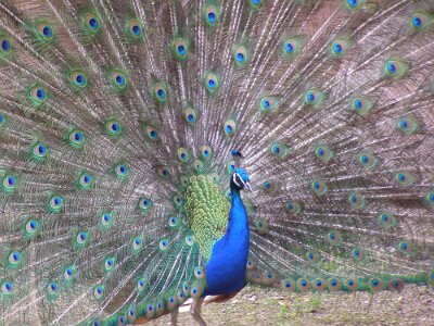 20120528-150356-P5284594