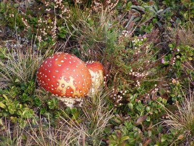 20121003-152834-PA0311390