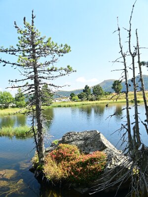 20210914-140554-DSC_3489