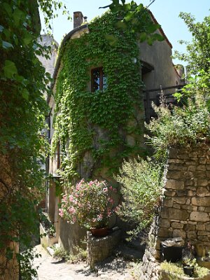 7A81D5F8-802B-4081-B98E-8F877AFD44DF