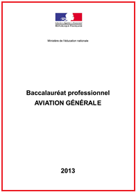 Bac pro Aviation générale