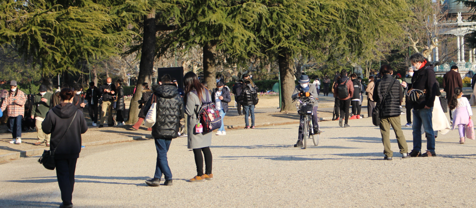 鶴舞公園でポケモンGOに興じる人々